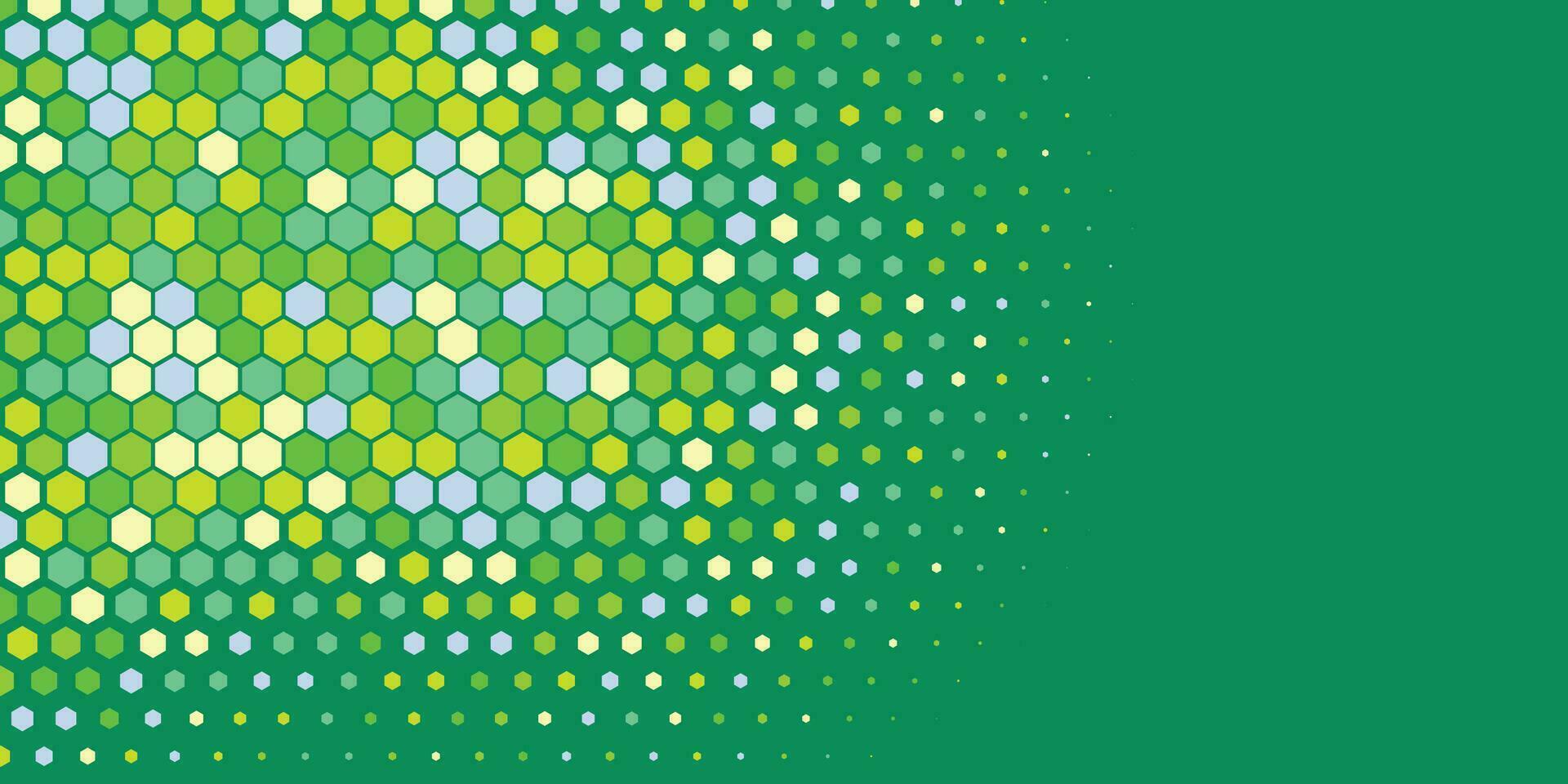 Geometric abstract Hexagon Two Color Background vector