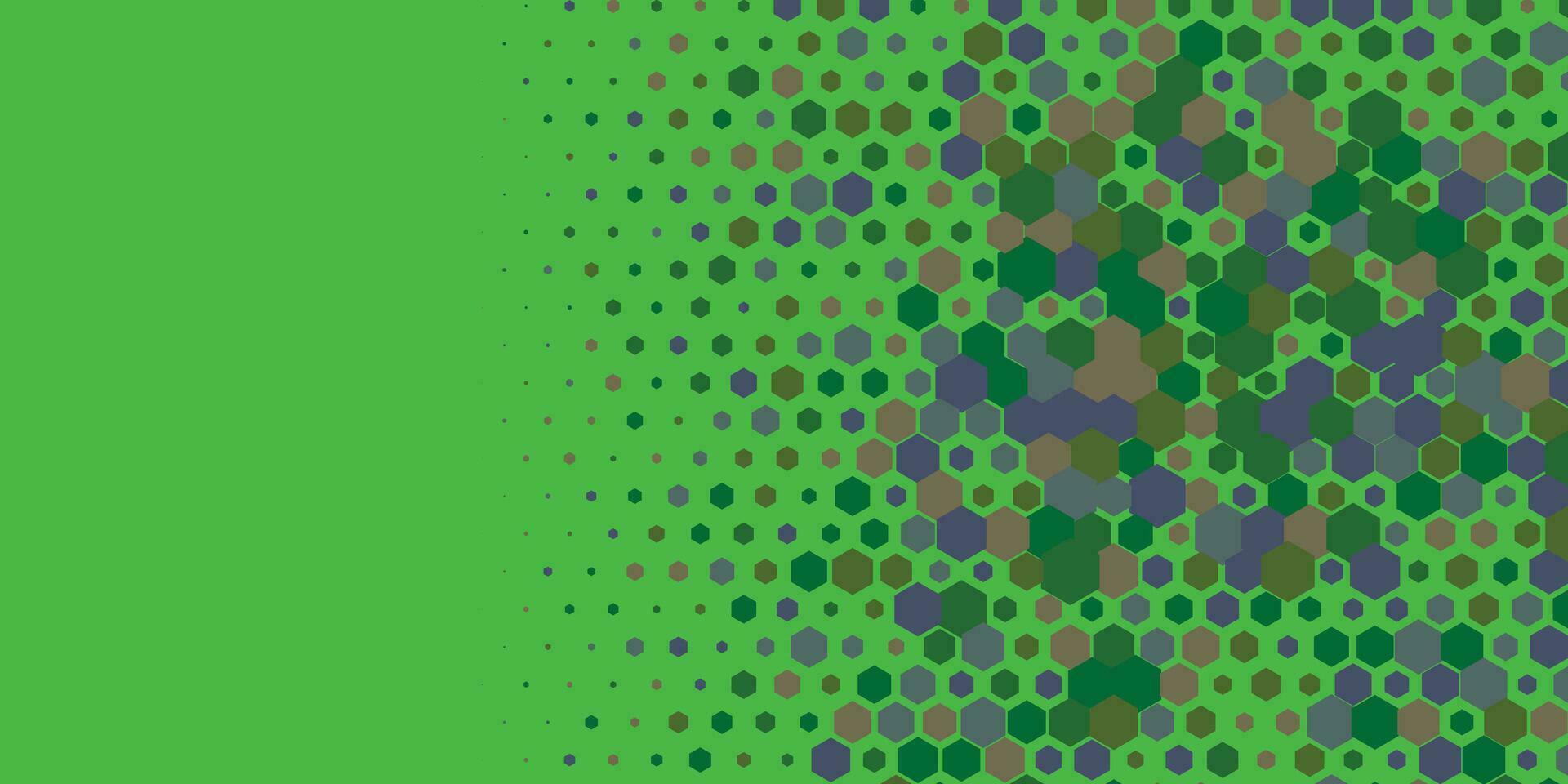 Geometric abstract Hexagon Two Color Background vector