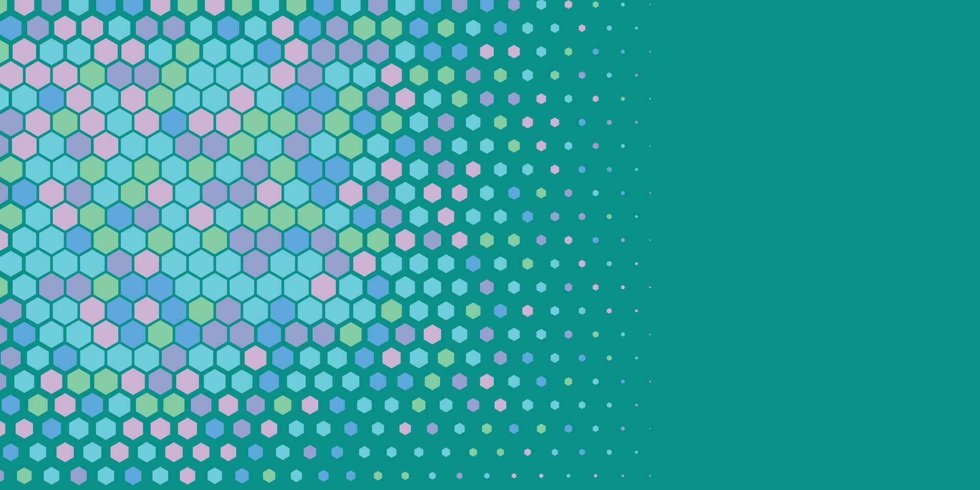 Geometric abstract Hexagon Two Color Background vector