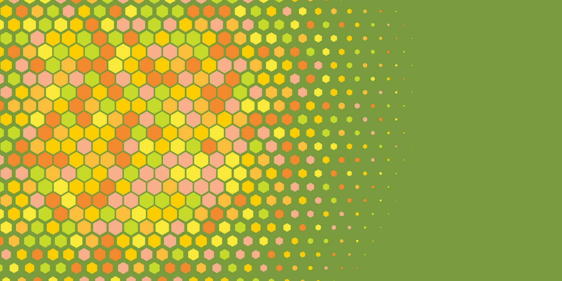Geometric abstract Hexagon Two Color Background vector