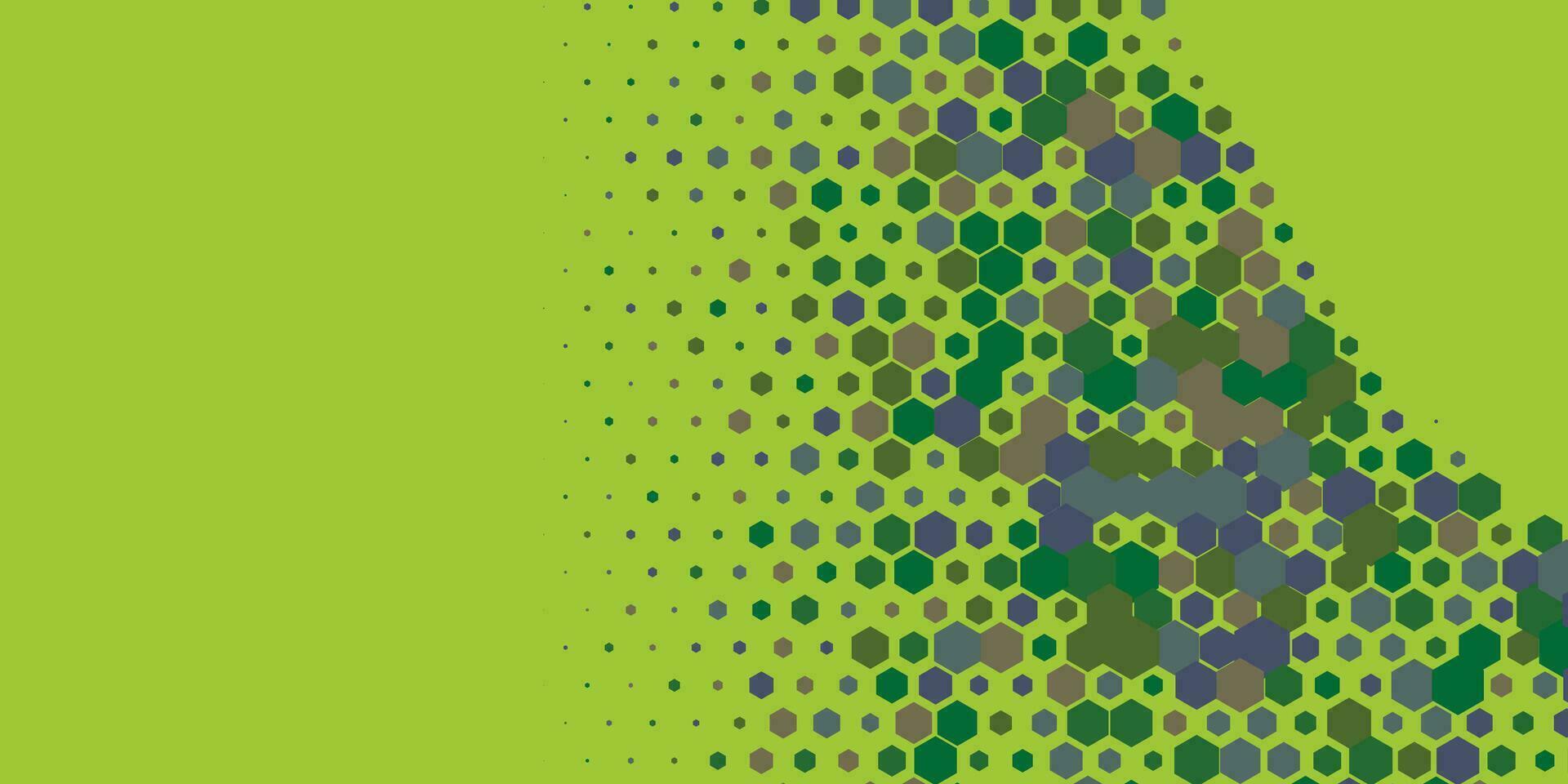 Geometric abstract Hexagon Two Color Background vector