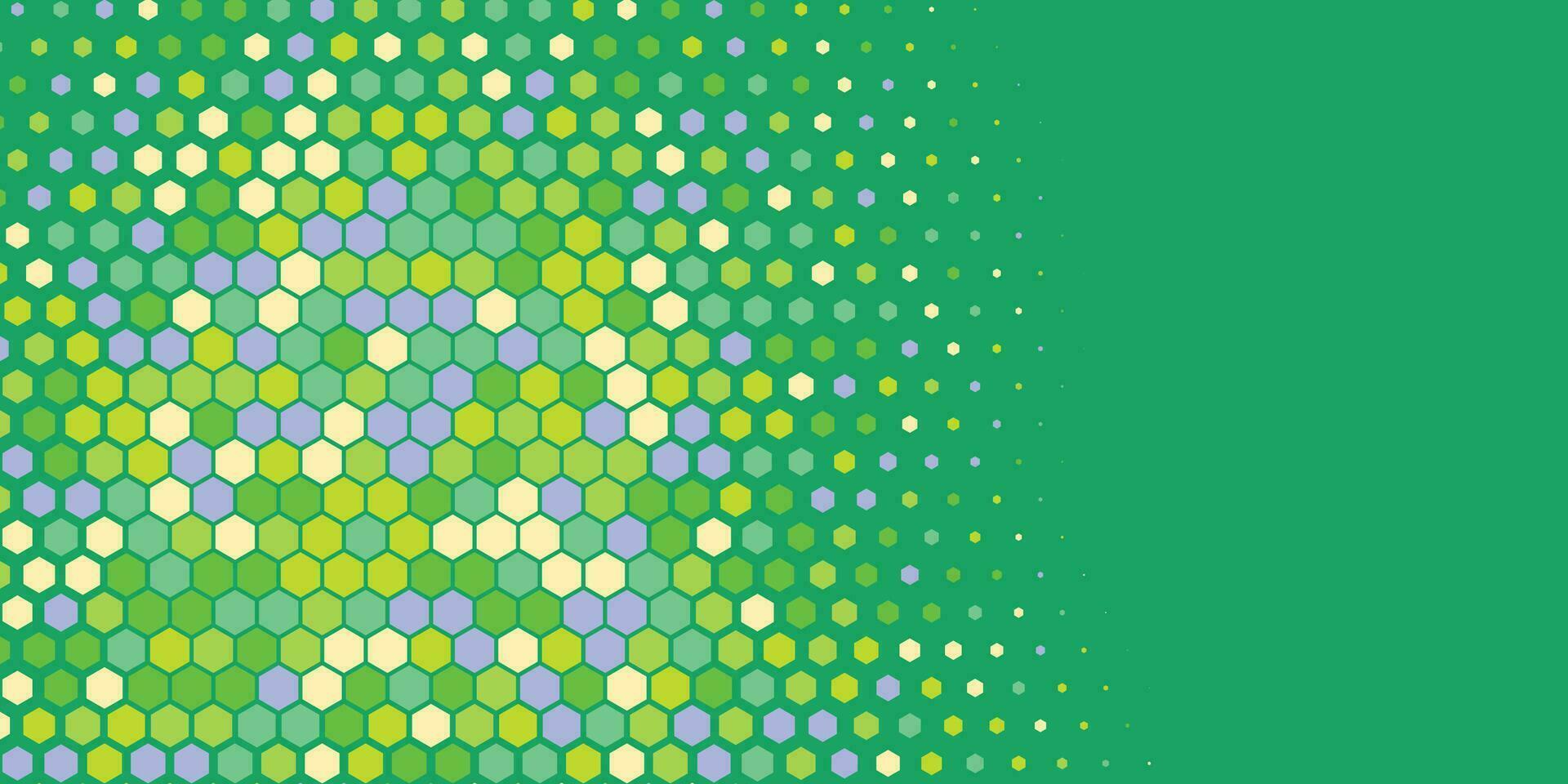 Geometric abstract Hexagon Two Color Background vector