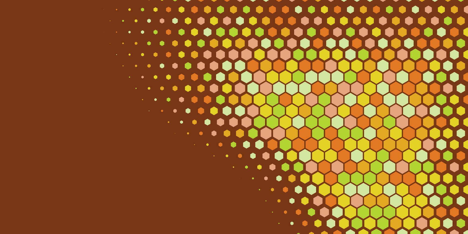 Geometric abstract Hexagon Two Color Background vector