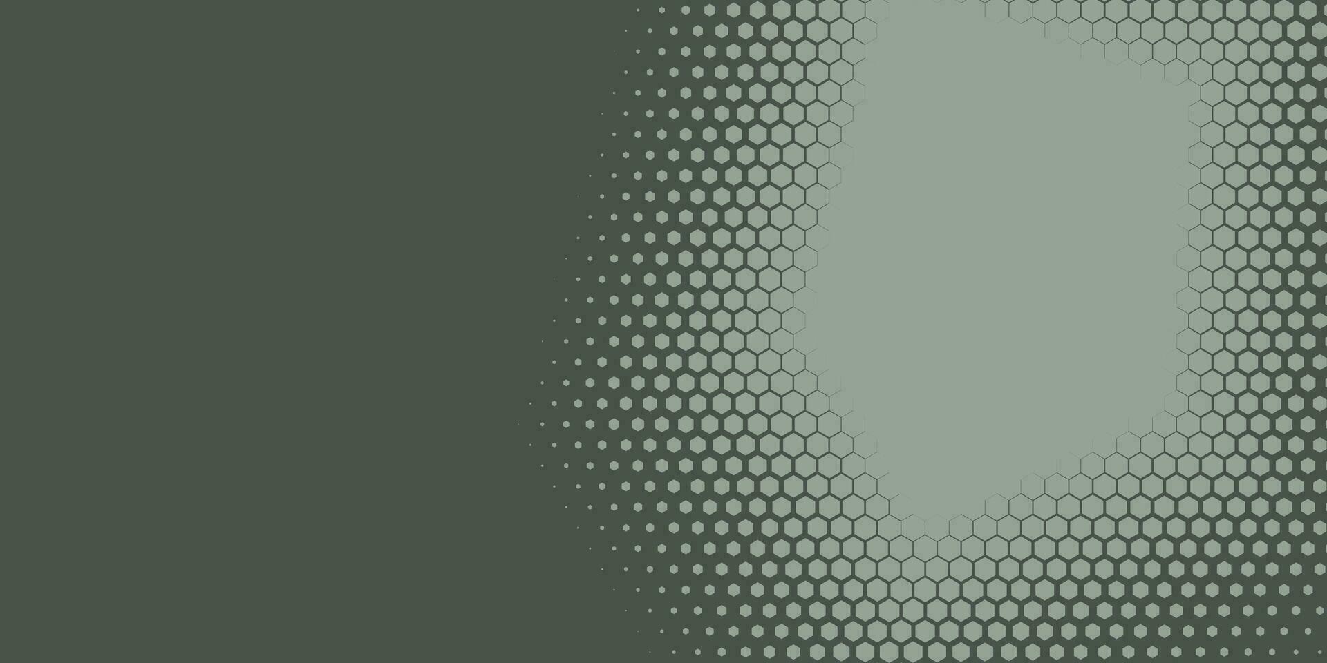 Geometric abstract Hexagon Two Color Background vector