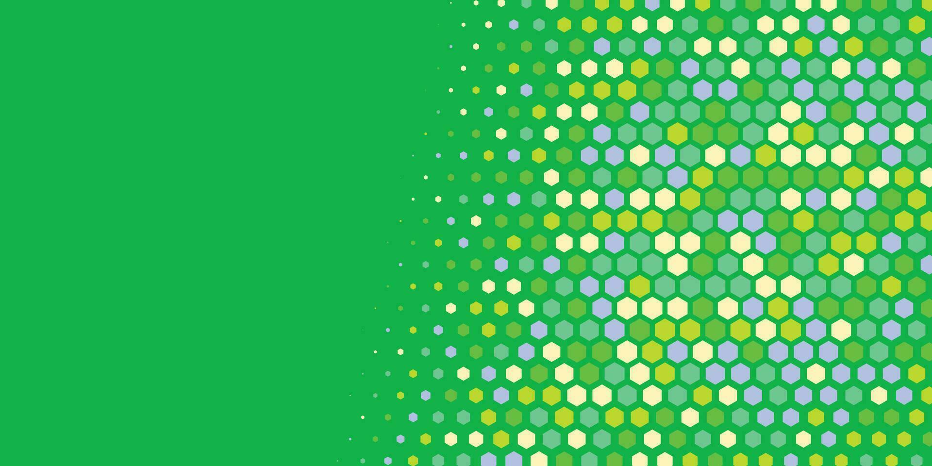 Geometric abstract Hexagon Two Color Background vector