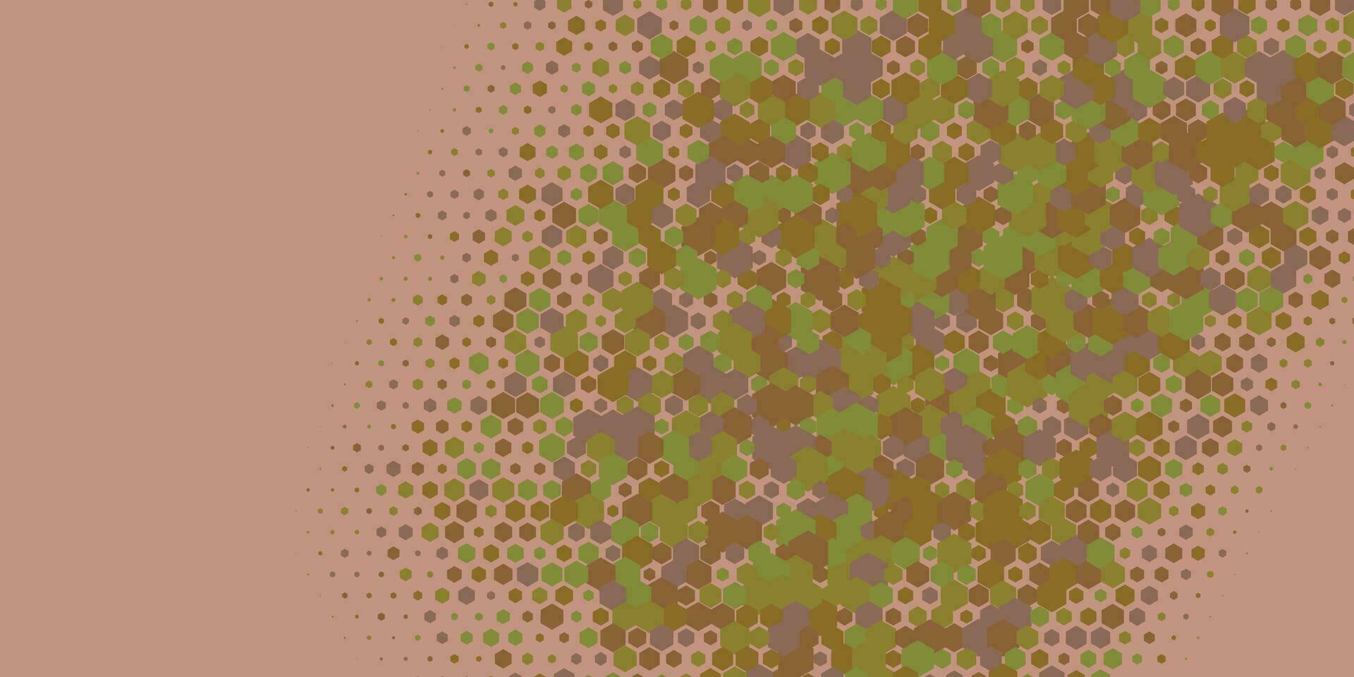 Geometric abstract Hexagon Two Color Background vector