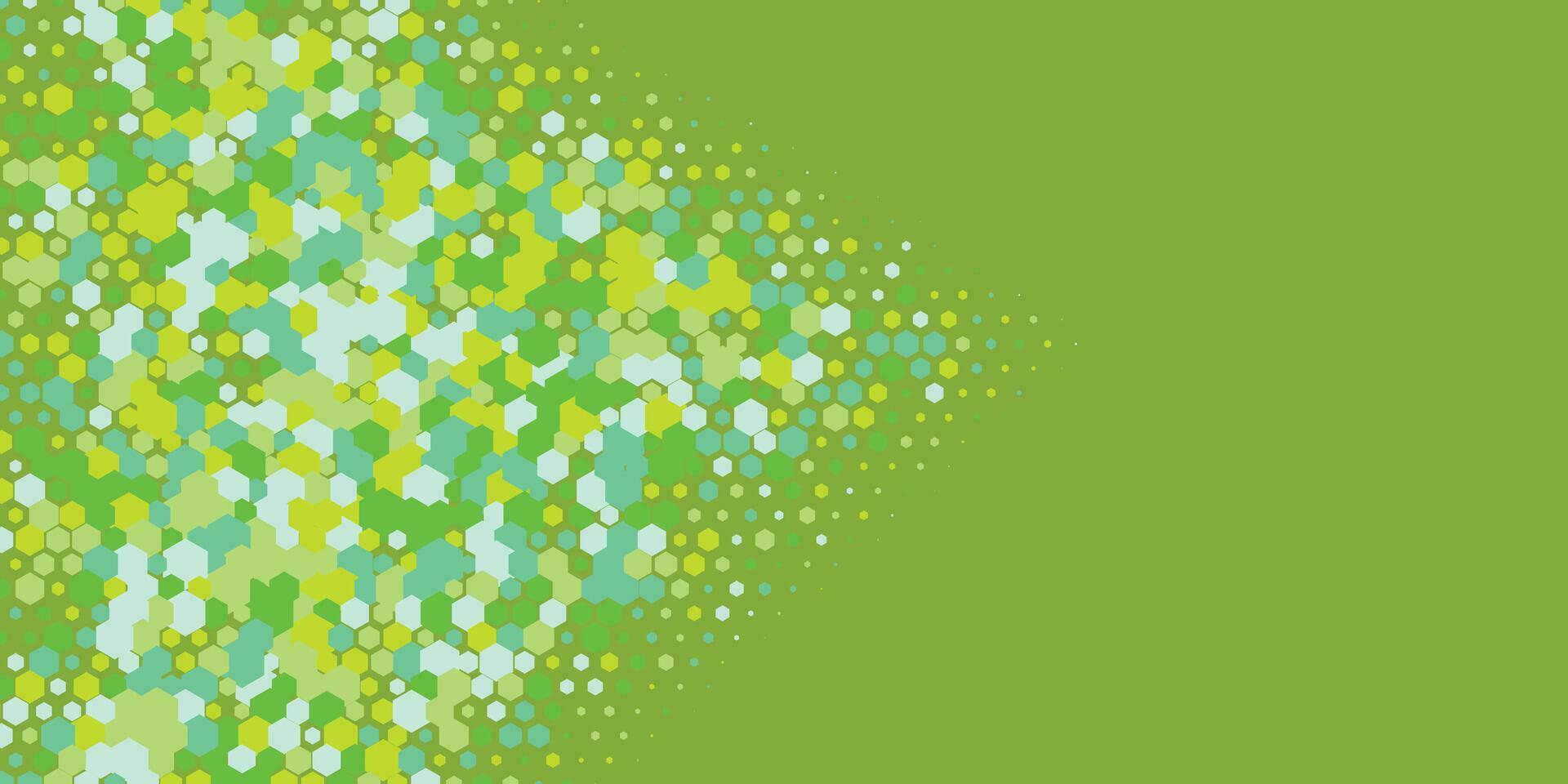 Geometric abstract Hexagon Two Color Background vector