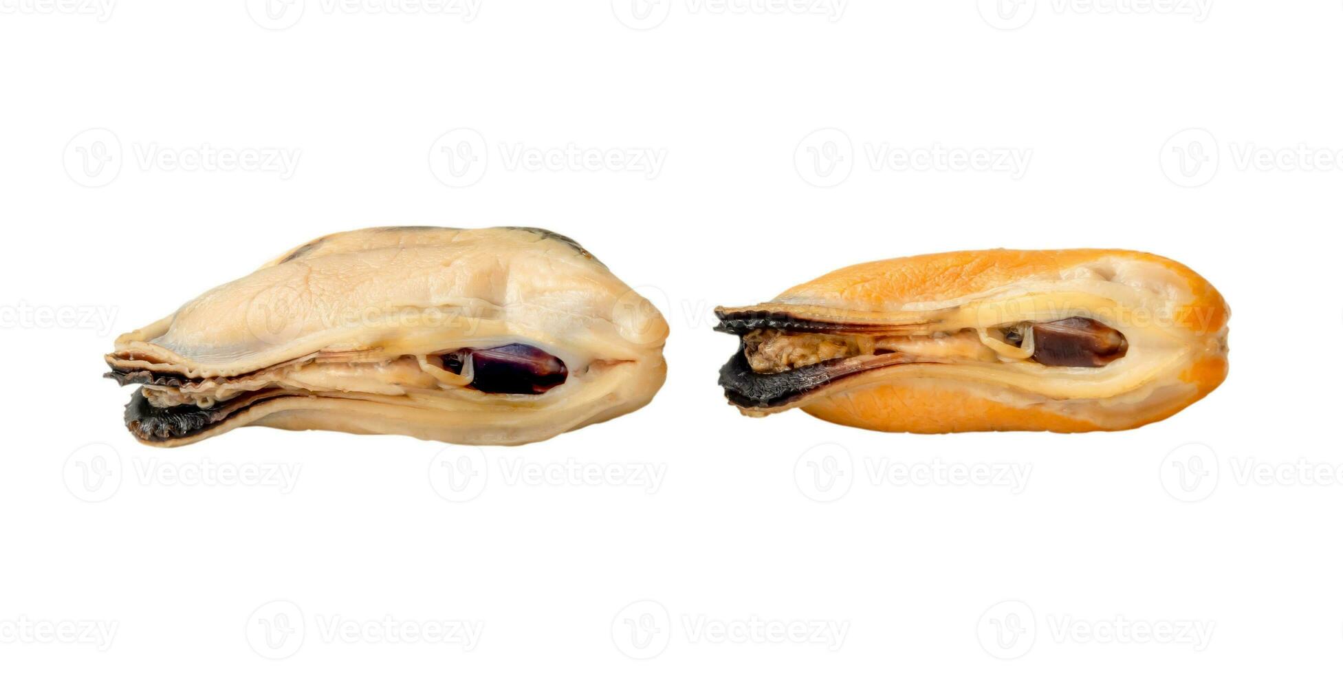 Set of steamed or cooked sea food of separated mussels isolated on white background with clipping path photo