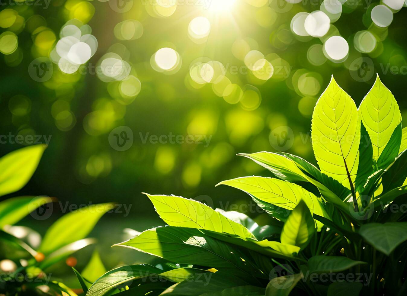 Close up of nature view green leaf on blurred greenery background under sunlight with bokeh. AI Generated photo