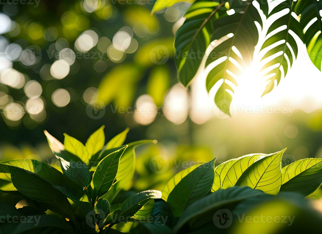 Close up of nature view green leaf on blurred greenery background under sunlight with bokeh. AI Generated photo