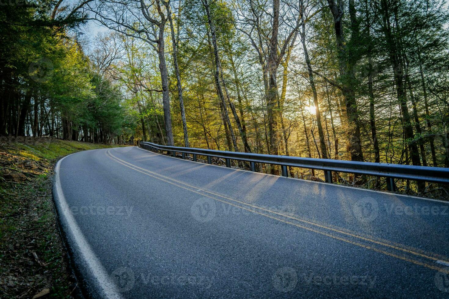 Winding uphill road in the woods with sunset peeking through the trees in early spring time photo
