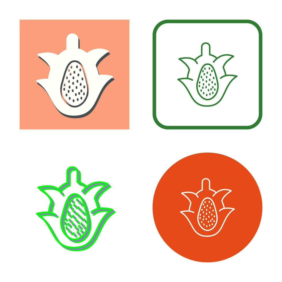 Dragon Fruit Vector Icon