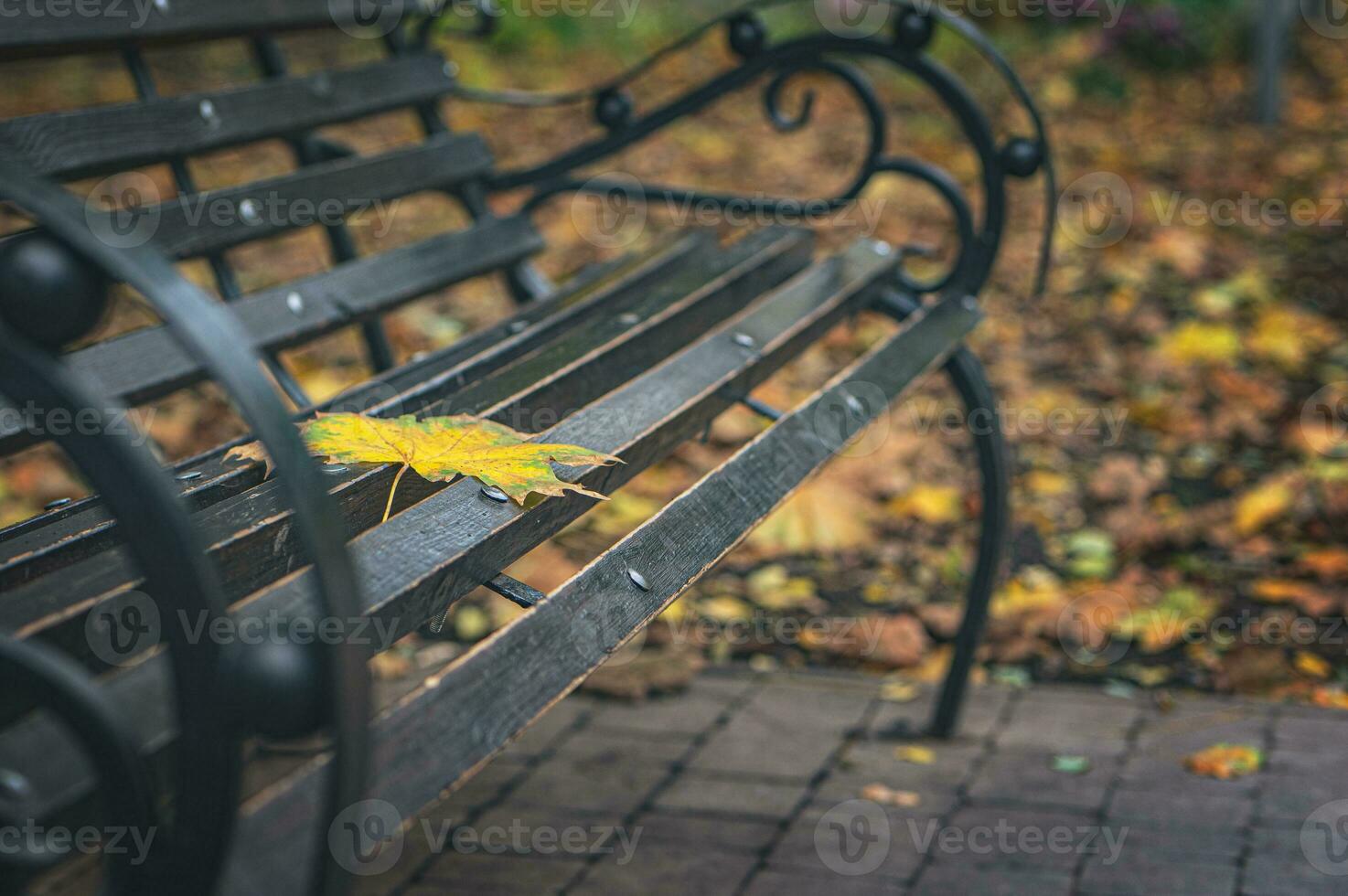 Lonely yellow leaf on a park bench. Autumn time. Eye charm. Your time is wonderful to me. RETRO photo