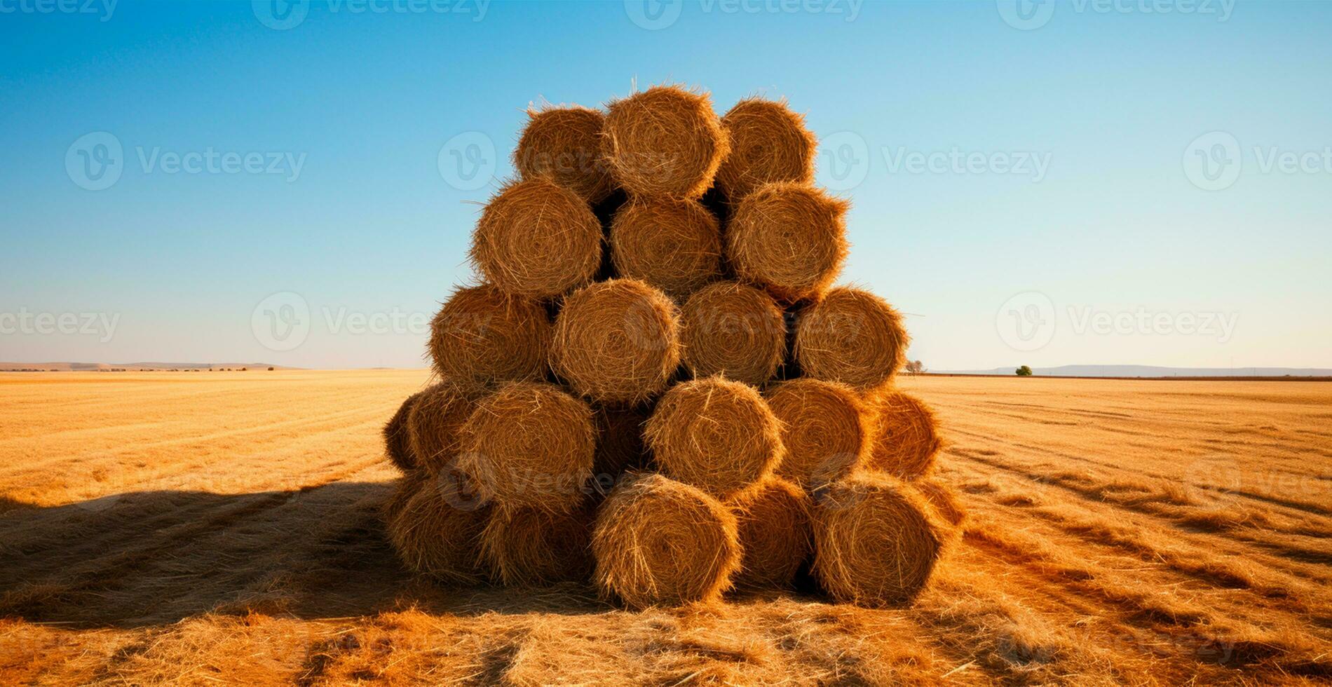 Freshly cut hay in rolls lying in a field - AI generated image photo