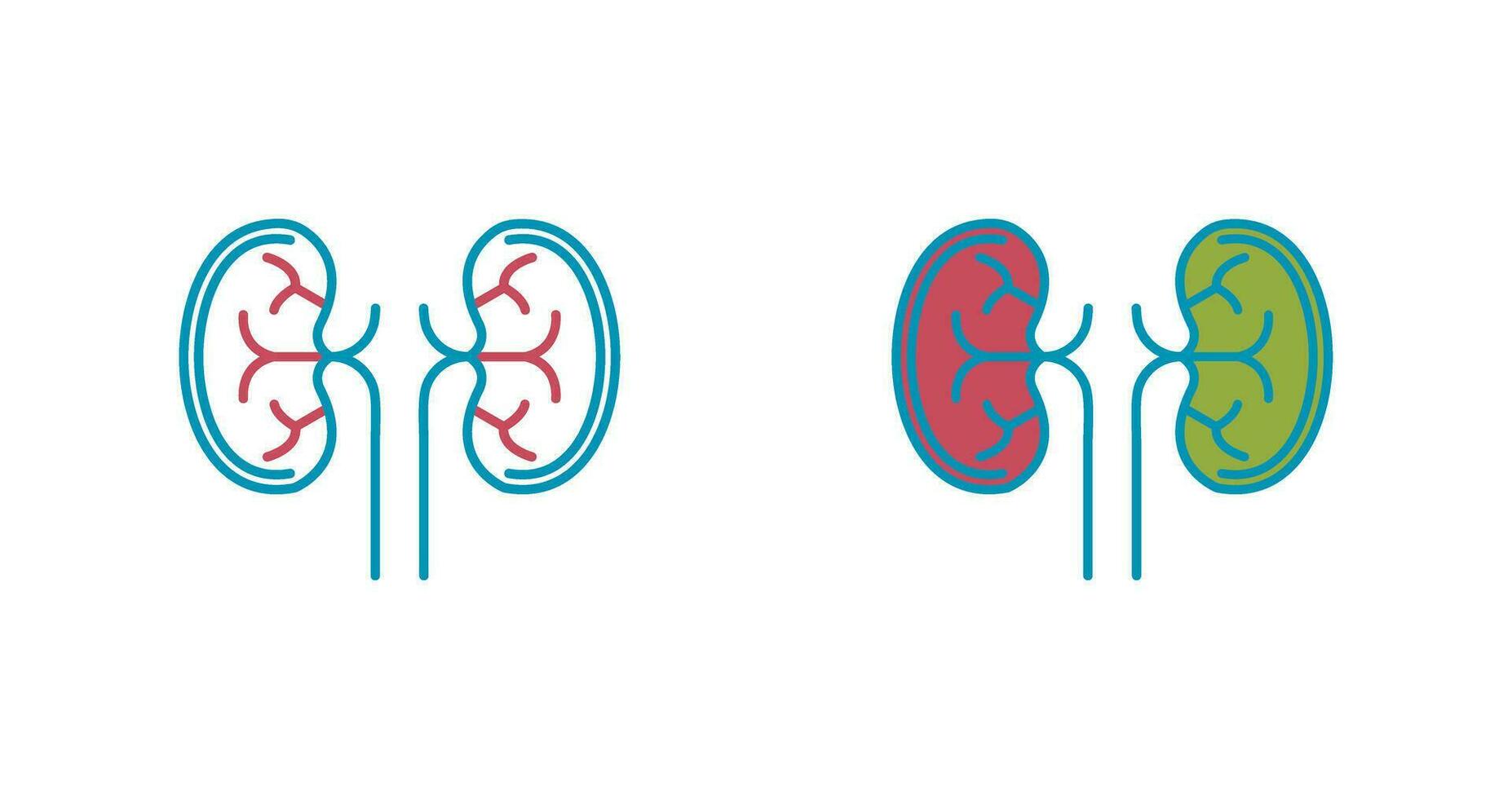 Kidney Vector Icon