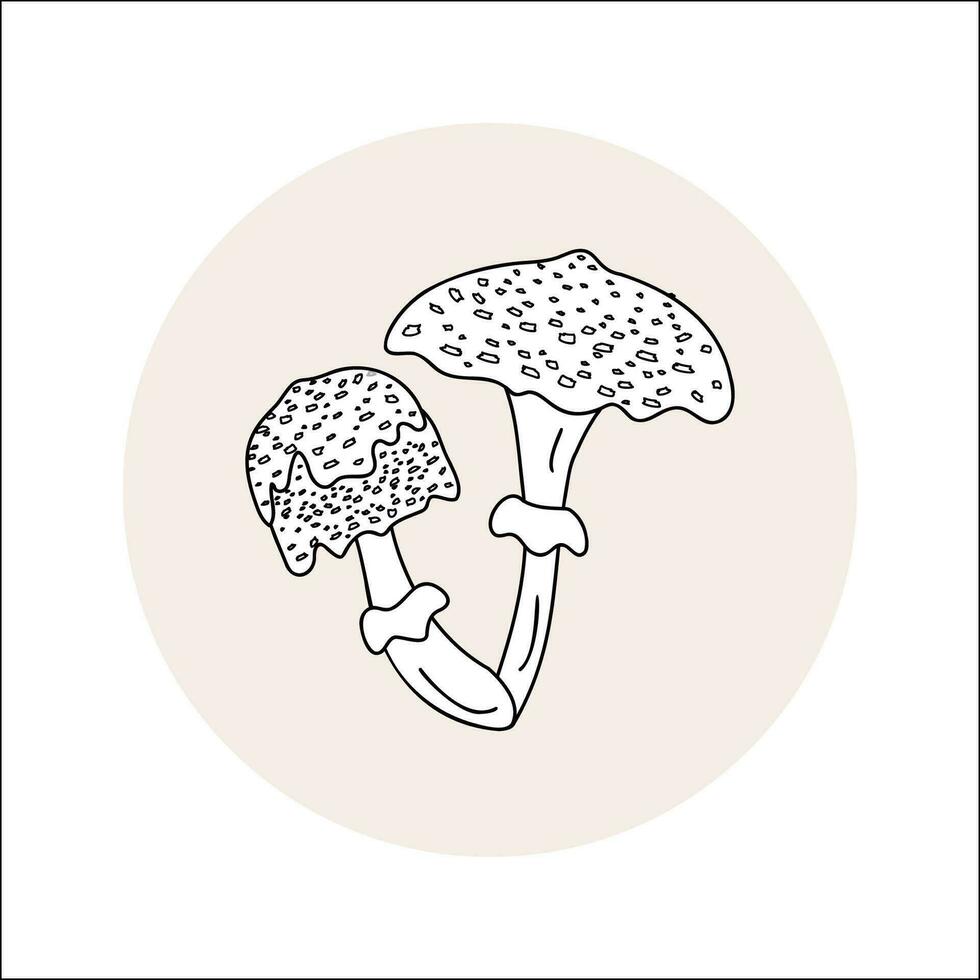 Mushroom umbrella line icon black in circle. Vector illustration isolated boletus in doodle style.