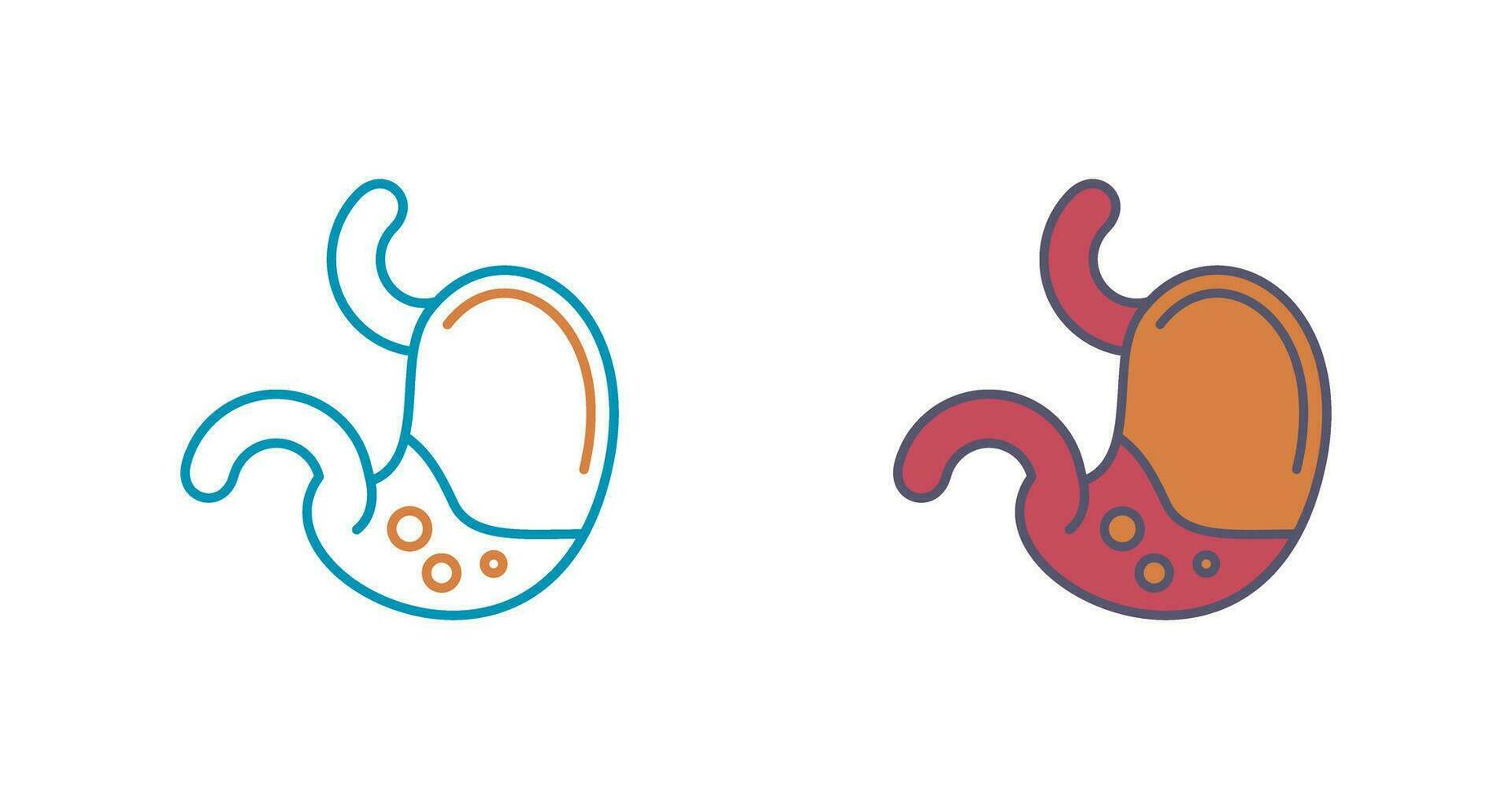 Stomach Vector Icon