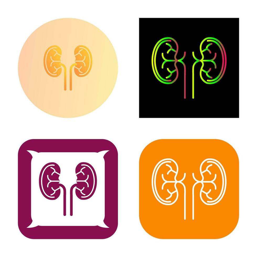 Kidney Vector Icon