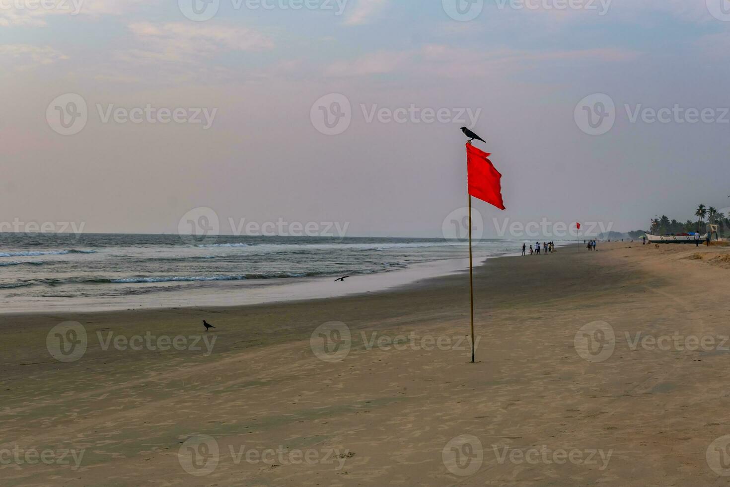 red flag on beach on sea or ocean at sunset as symbol of danger. The sea state is considered dangerous and swimming is prohibited. photo