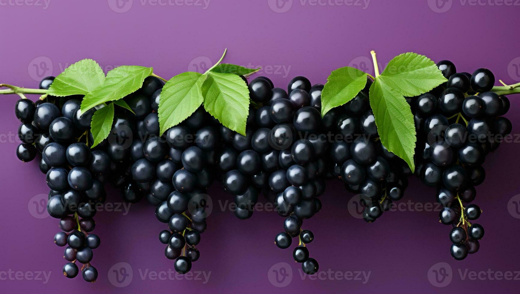 Fresh Black Grapes on Purple Background. AI Generated. photo