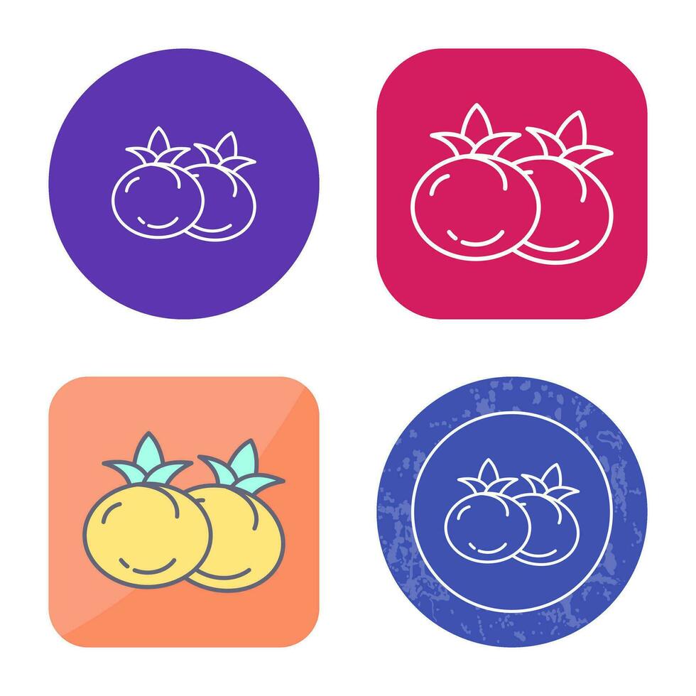 Tomato Vector Icon