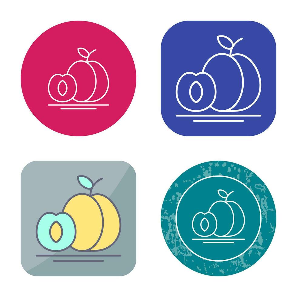 Apricot Vector Icon