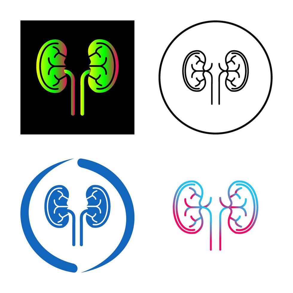 Kidney Vector Icon
