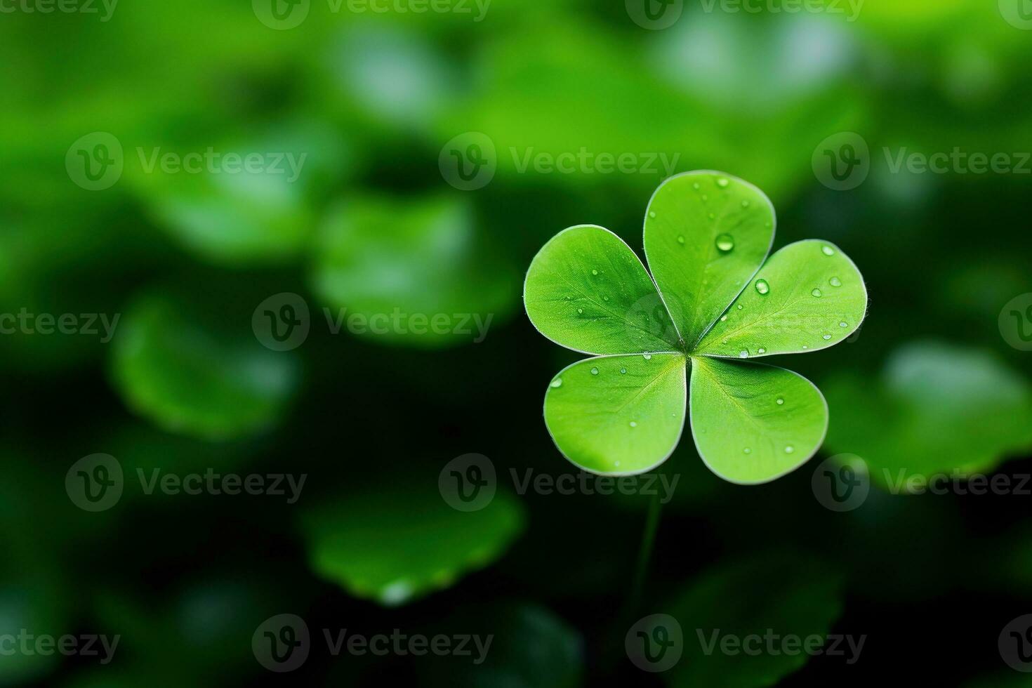 Green clover leaves on a dark background. St.Patrick's Day. AI generated photo