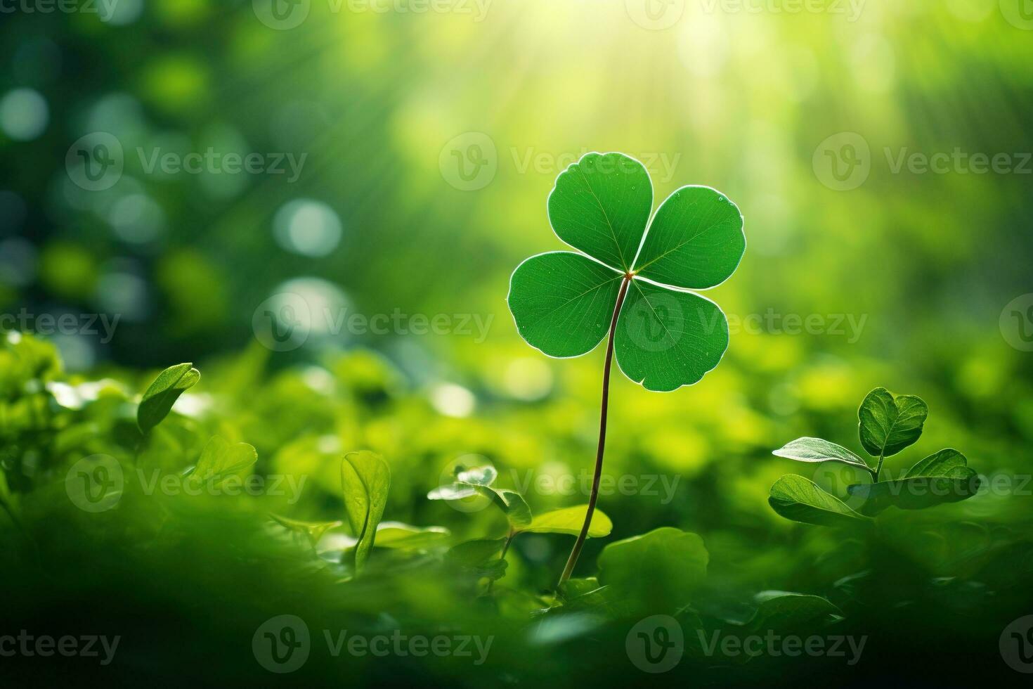 St. Patrick's day background with clover leaves AI generated photo