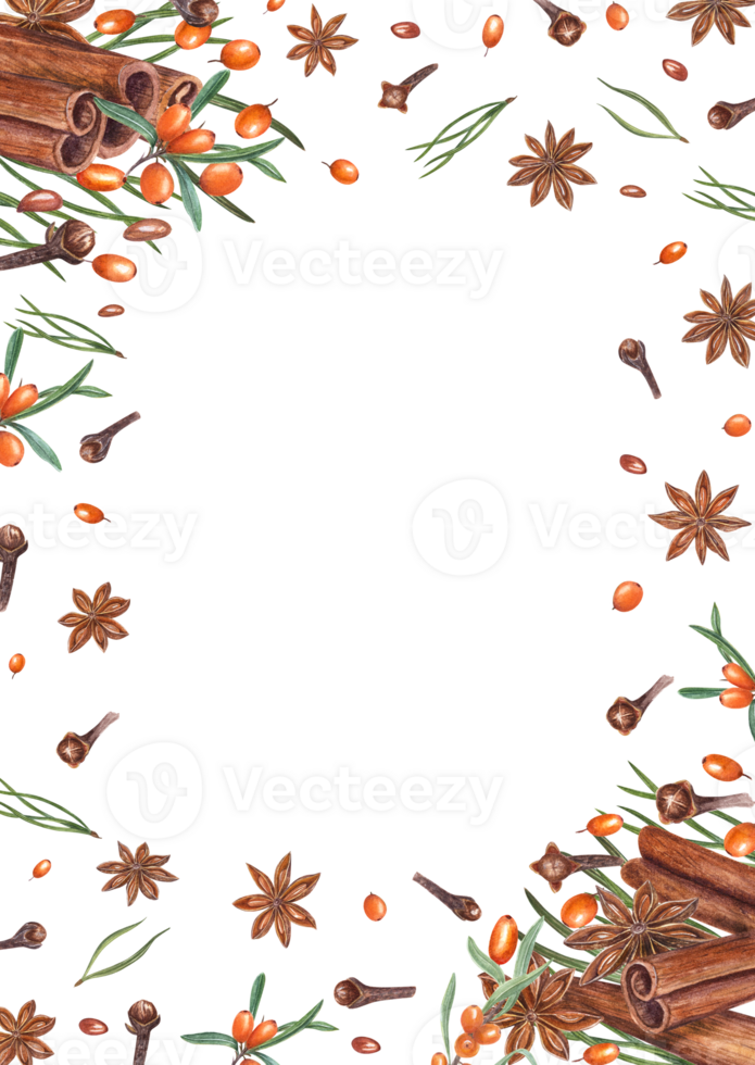 Vertical frame of cinnamons, star anise, sea buckthorn, pine needles, cloves. Watercolor illustration. Composition of orange berries, brown spices for Christmas and New Year decoration png
