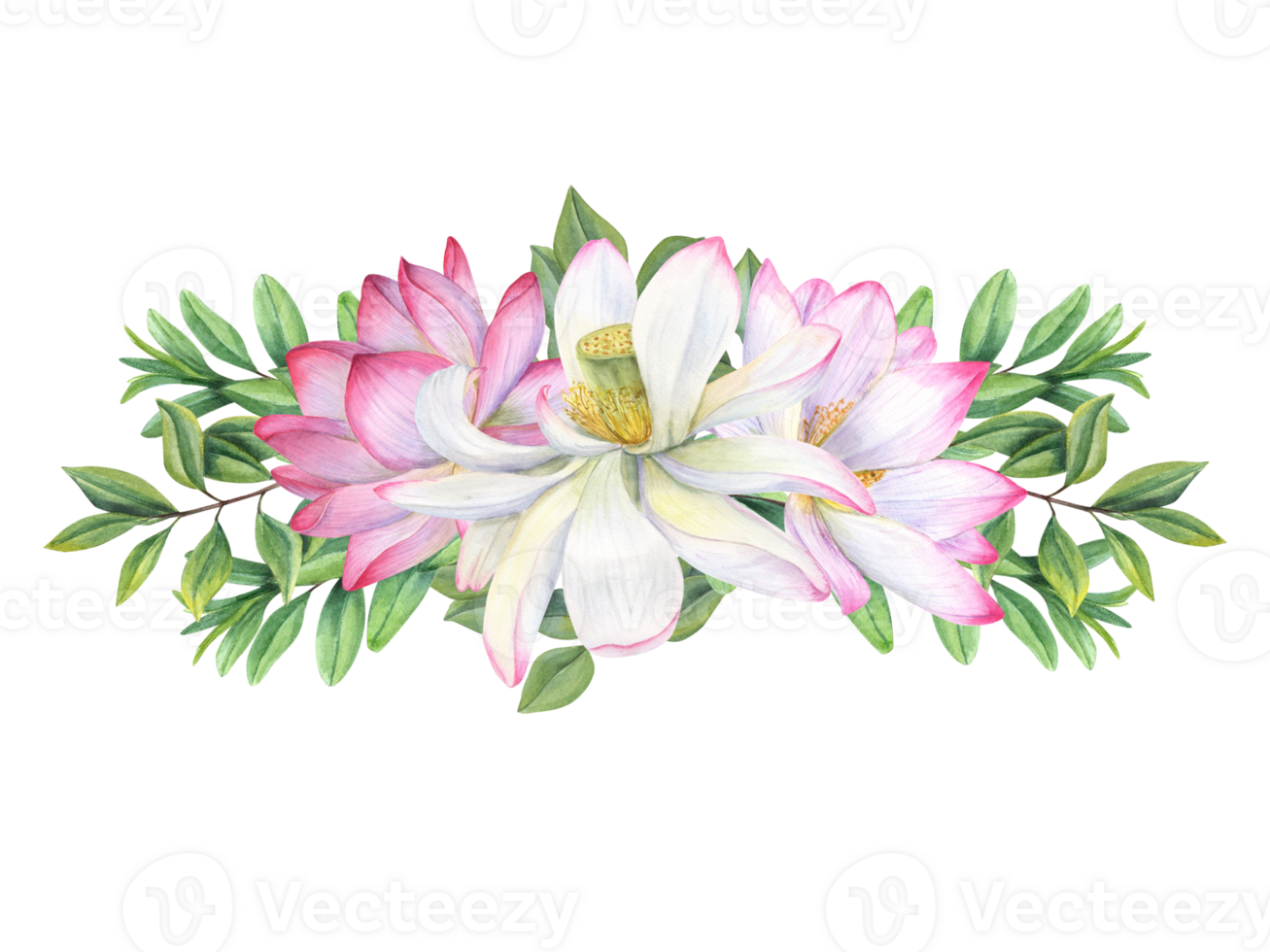 Floral composition with beautiful blooming lotuses and green branches. Water lilies, tea bush leaves. Abstract foliage, sacred lotus flower. Watercolor illustration. For greetings, package, label. png