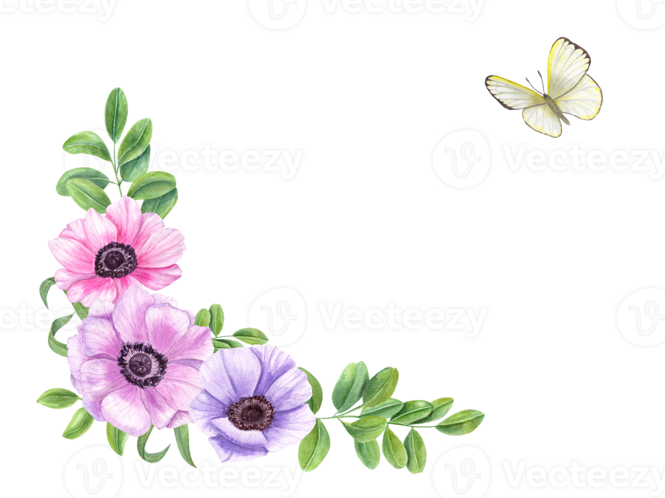 Floral frame with anemone flower, green leaves and butterfly. Clitoria, acacia or tea leaf. White cabbage. Space for text. Watercolor illustration. Greeting card for holiday, wedding or invitation png