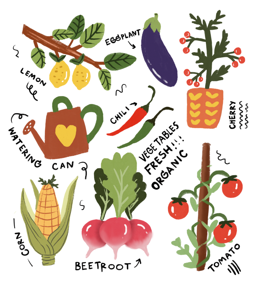 Hand drawn plant and vegetables png