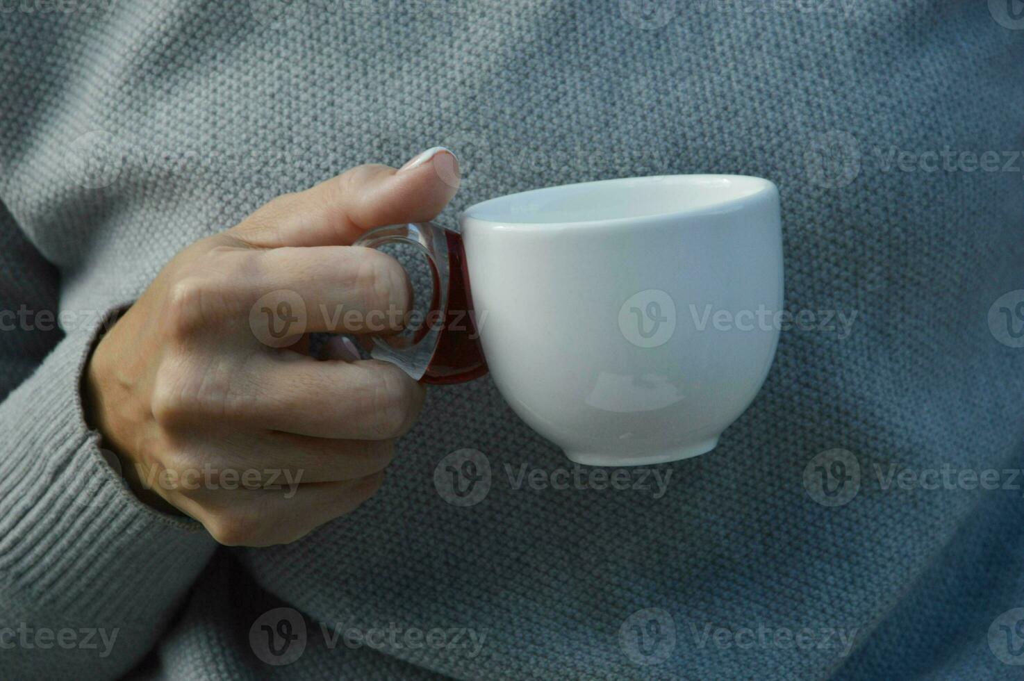 Close-up of female hands holding a white cup. A woman in a gray sweater holds a cup of tea or coffee. Free space for text. Layout. photo