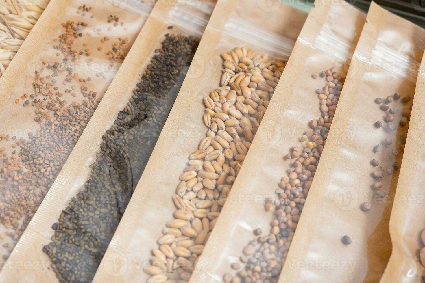 Wheat seeds and bags with other contents for germinating microgreens photo