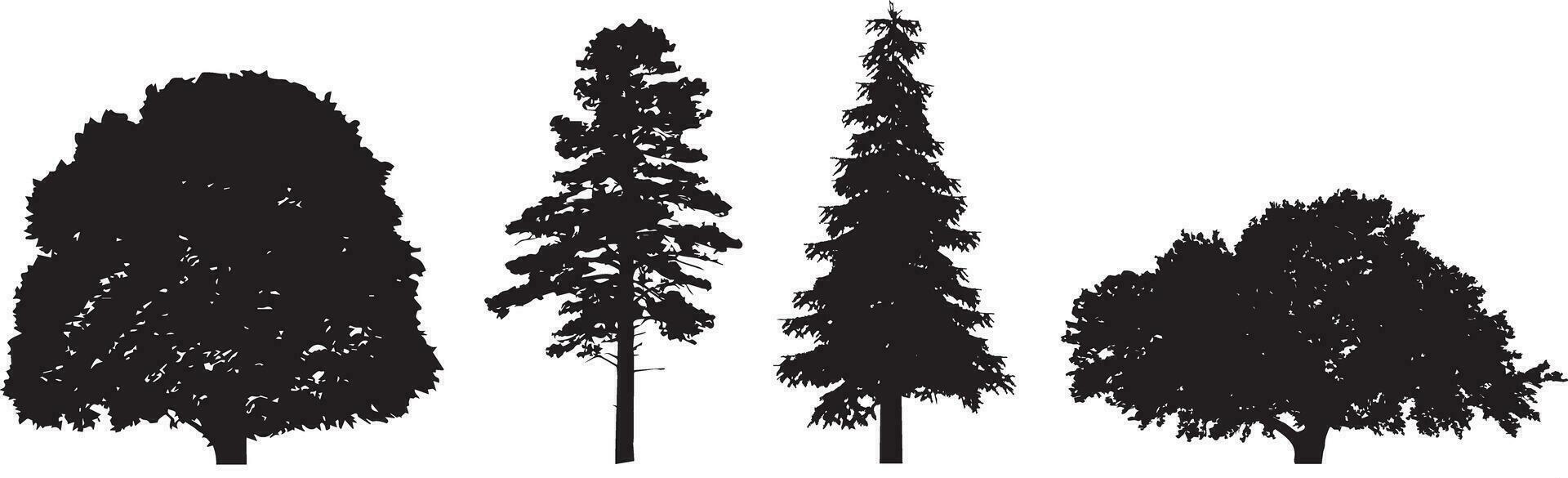tree silhouette on white background vector