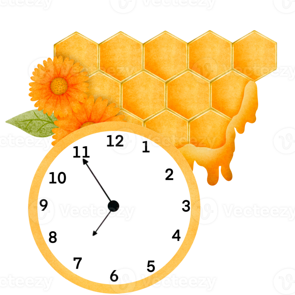 Cartoon animal clock, teaching materials png