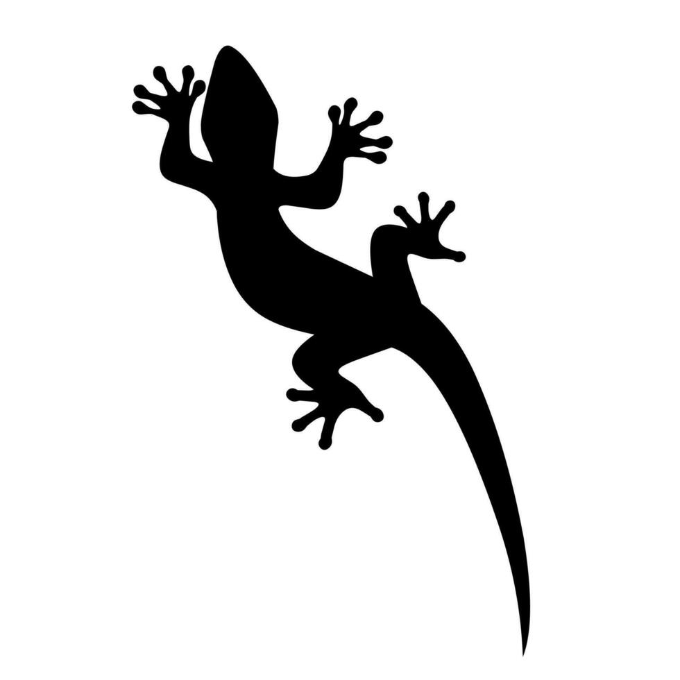 Silhouette of a lizard walking on a wall on a white background. vector