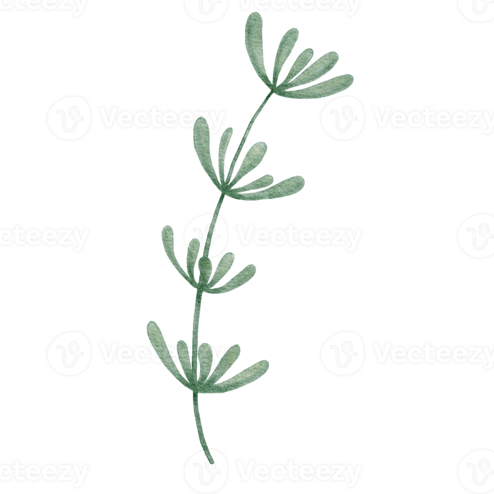 Watercolor Green Leaf Clipart png
