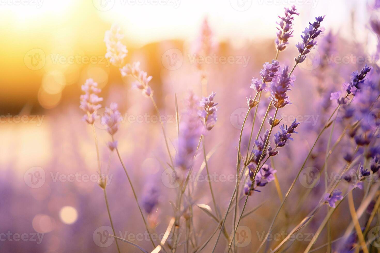 Blurred Summer Background of Wild Grass and Lavender Flowers. AI Generative photo