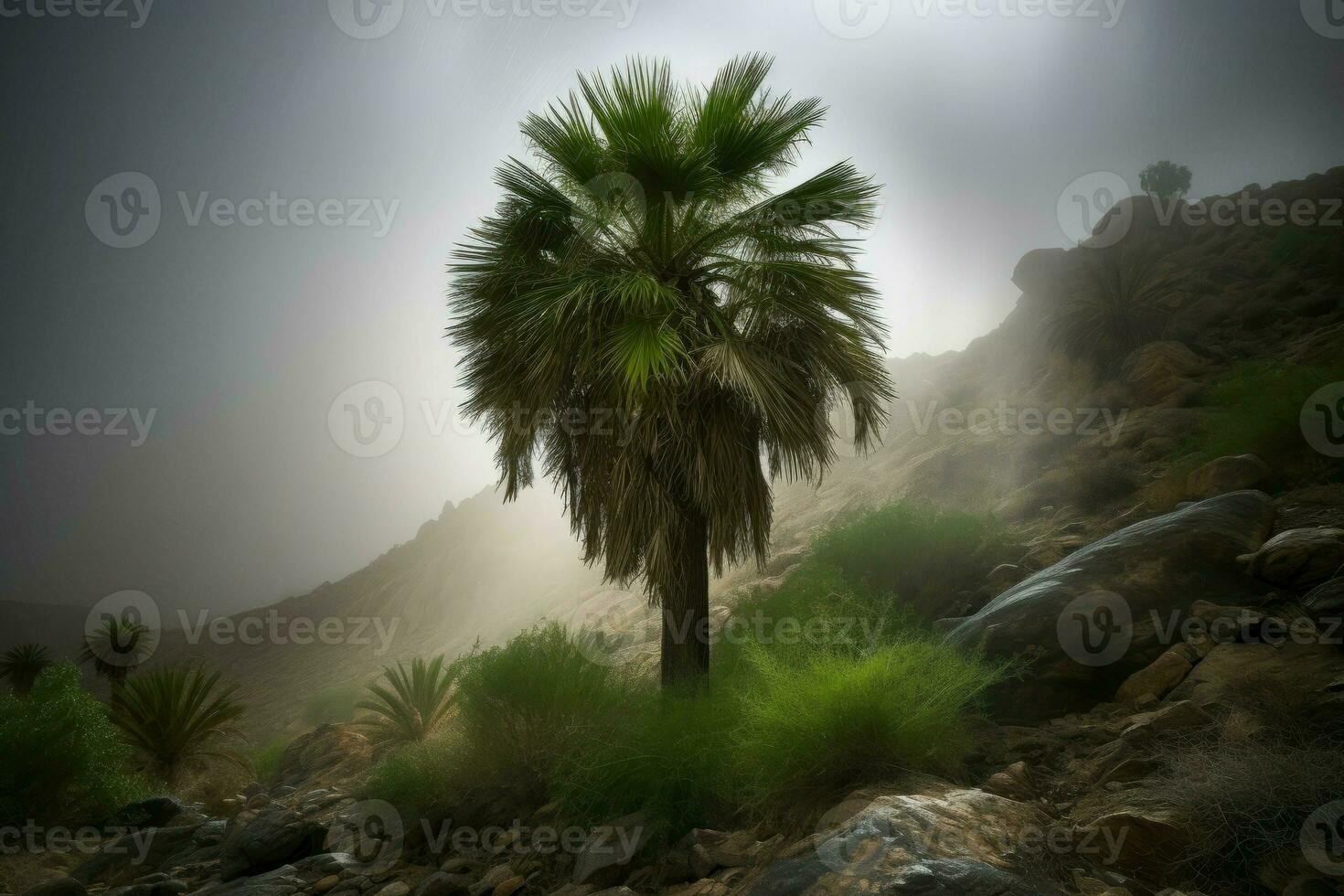 Tropical palm on mountain in rainy weather. Generate ai photo