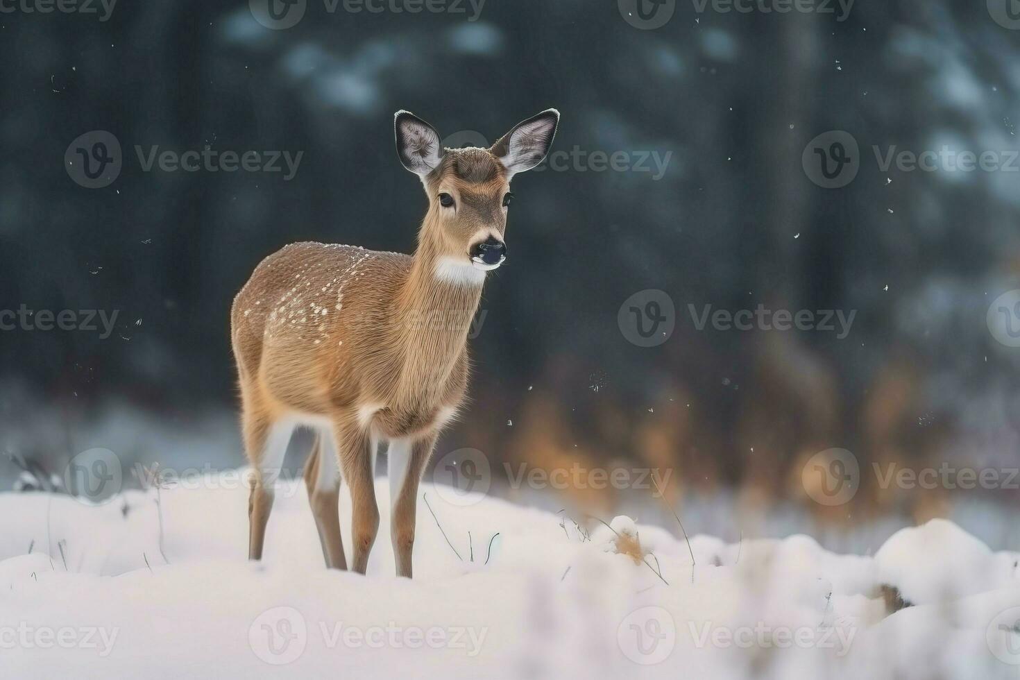 Raindeer snowy forest. Generate Ai photo