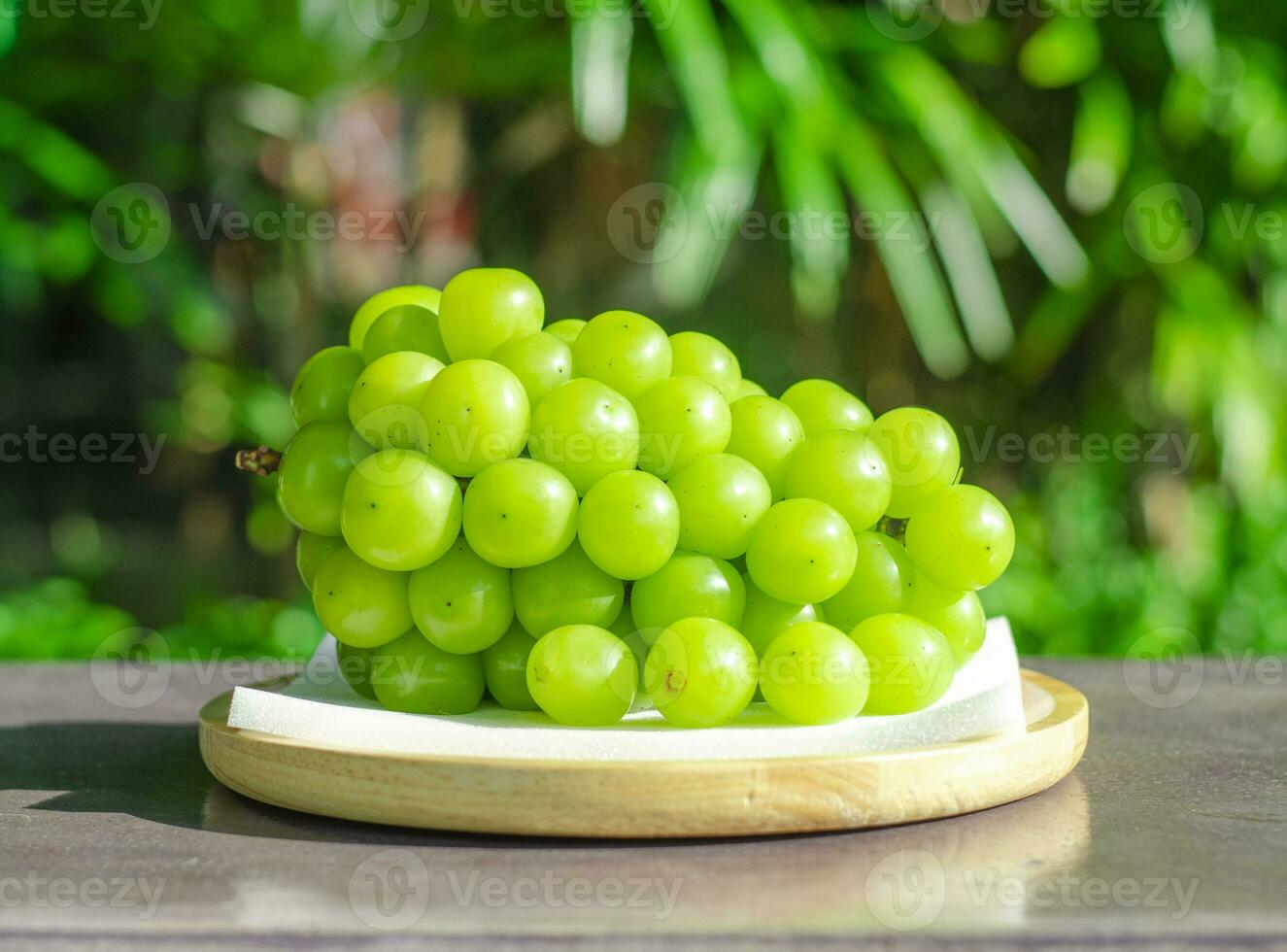 Bunches Shine Muscat grapes on garden background, side view photo