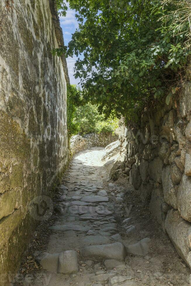 Picture along a cobbled and overgrown hollow way with natural stone walls photo