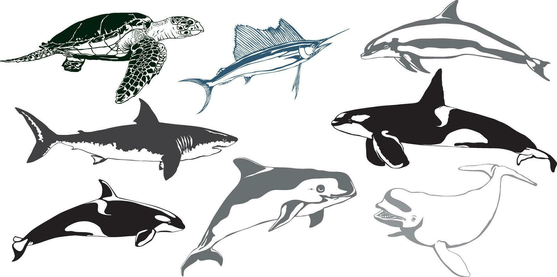 Marine animals vector set