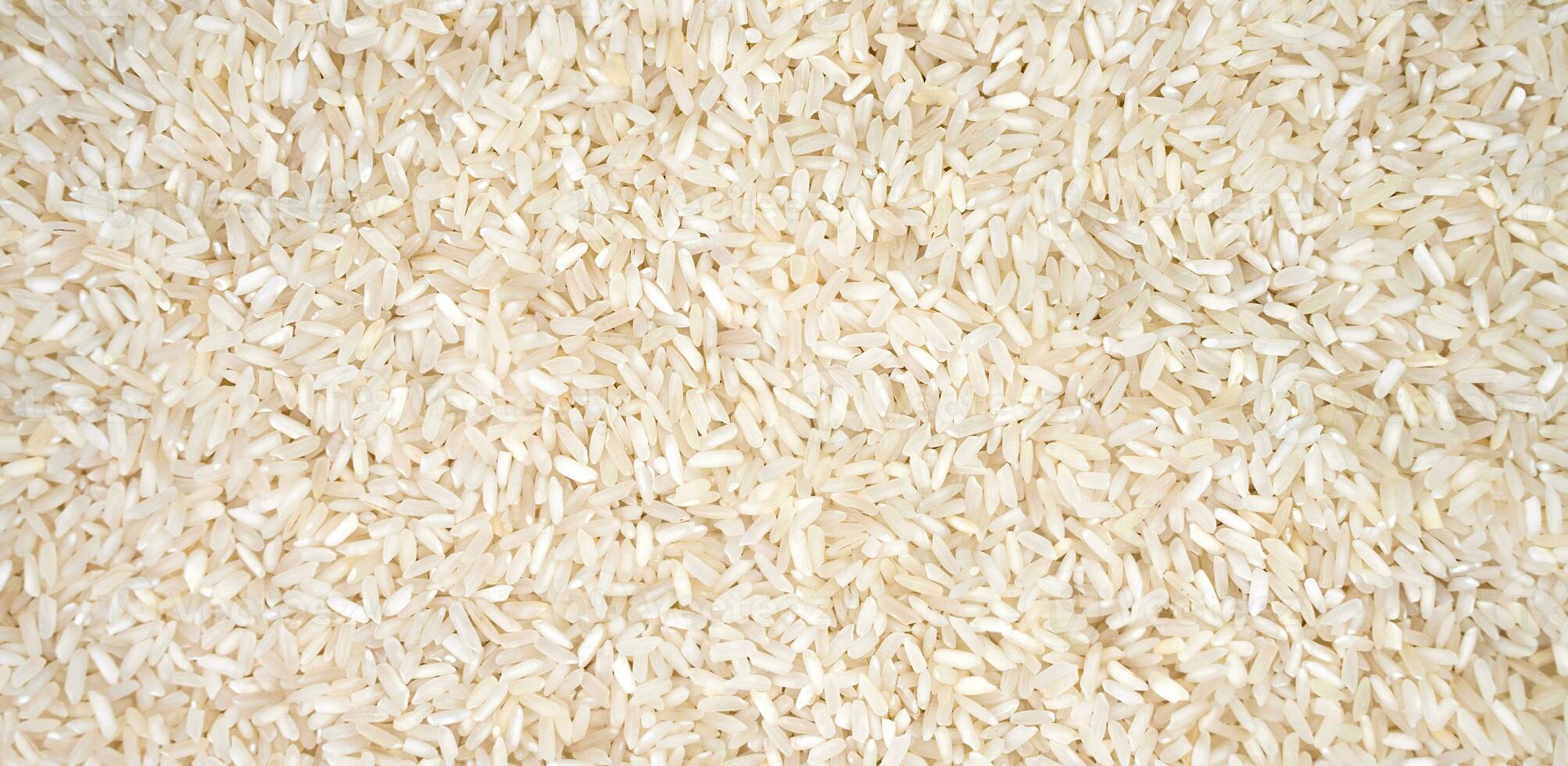 White long rice. Natural background. Banner. Top view. Selective focus. photo