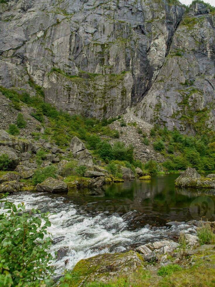 summer time in norway photo