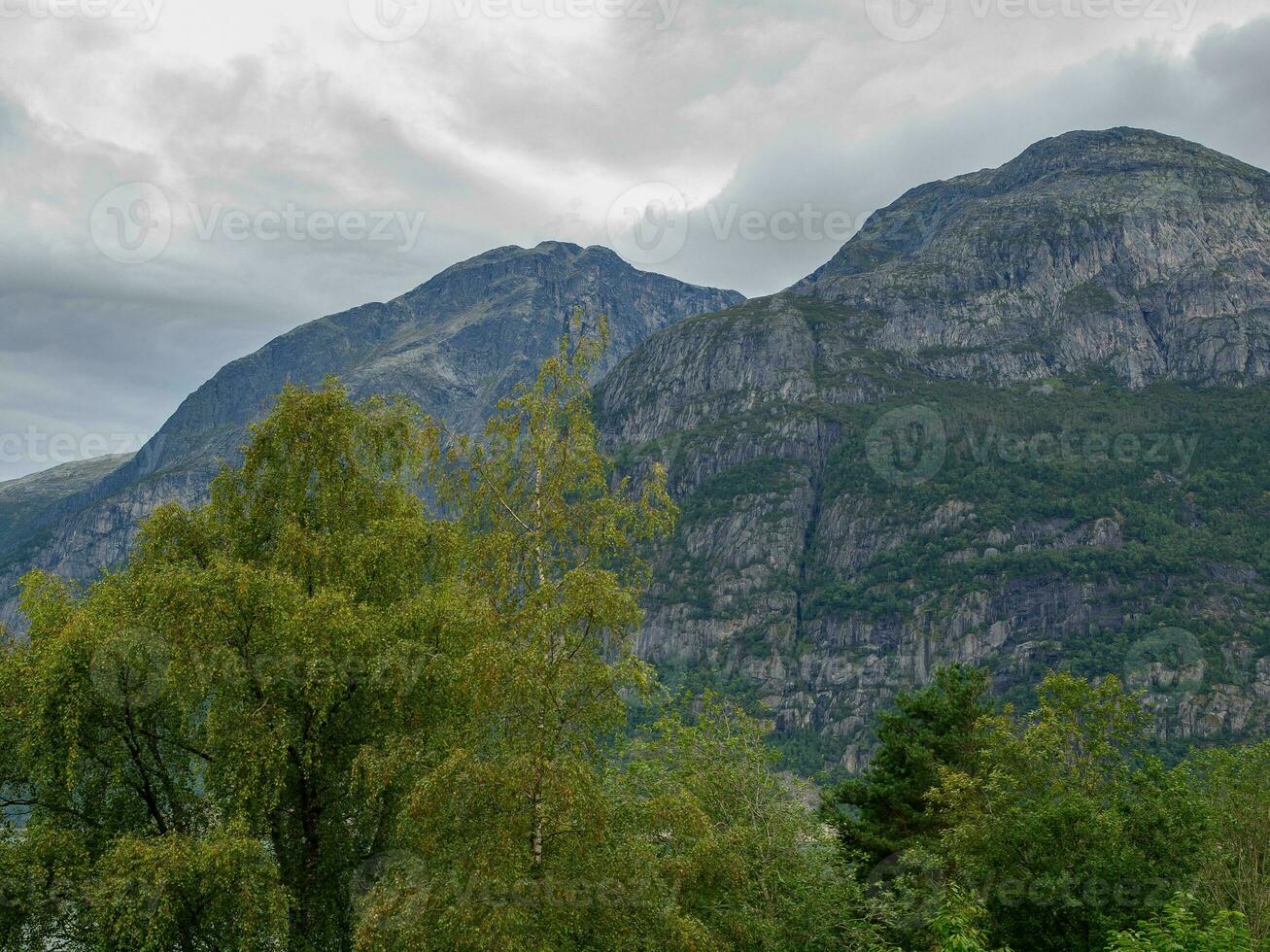 ship cruise in norway photo