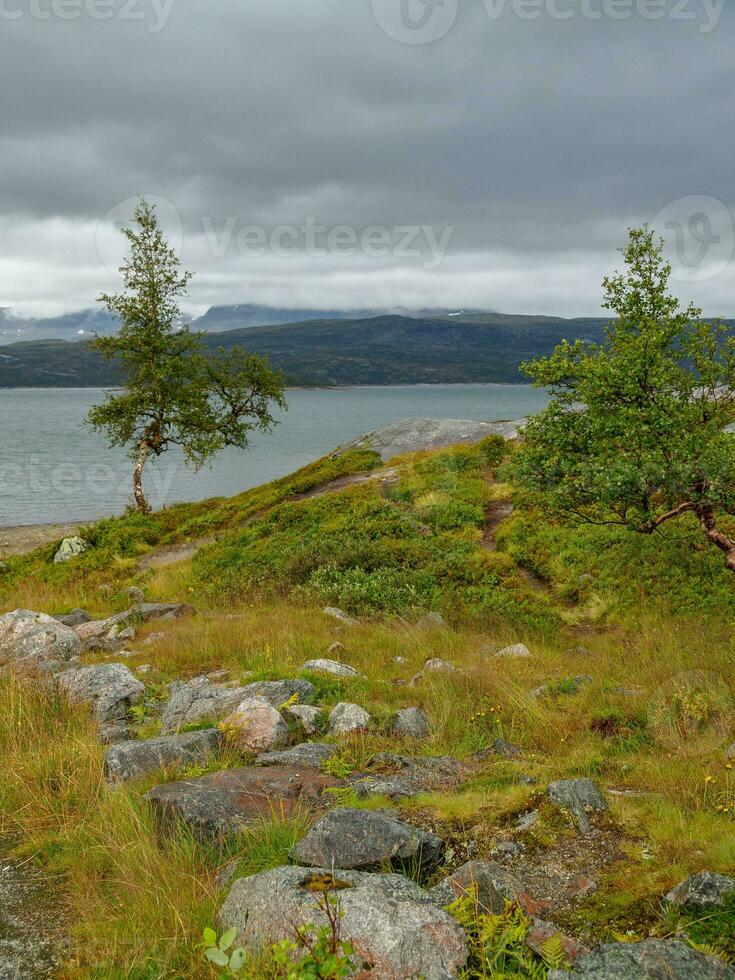 Summer time in norway 34604160 stock photo at vecteezy