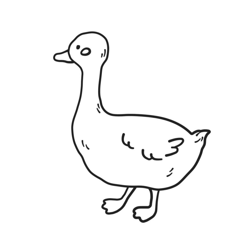 Cute goose outline. Coloring book, page for kids. Domestic bird, farm animal in doodle and linear drawing style vector